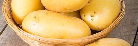 papa mayoreo méxico, comprar papa al mayoreo, papa fresca méxico, proveedor de papa méxico, papa precio por kilo méxico, venta de papa al mayoreo, distribuidor de papa méxico, papa para restaurantes méxico, papa para industria alimentaria, papa para exportación méxico, papa a granel méxico, papa agrícola méxico, proveedor de patata méxico, patata al mayoreo méxico, papa central de abastos, papa para hoteles méxico, papa para comida rápida, papa para fritura méxico, papa blanca mayoreo, papa para procesamiento industrial, papa para restaurantes cdmx, papa mayoreo guadalajara, papa mayoreo monterrey, papa proveedor nacional, papa agrícola de calidad, papa fresca para distribución, papa para cadenas de supermercados, papa compra online méxico, papa suministro agrícola, papa para food service méxico, papa mercado mayorista, papa exportador méxico, papa proveedor confiable, papa comercial méxico, papa venta directa productor, papa abastecimiento continuo, papa al por mayor méxico